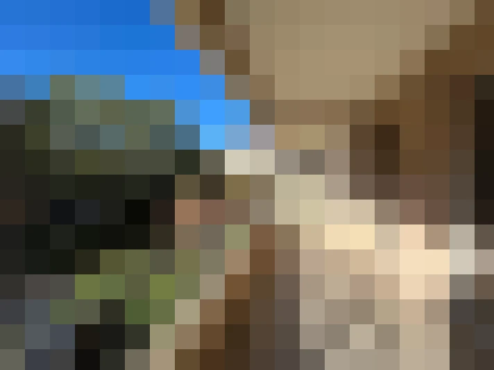  / #7
