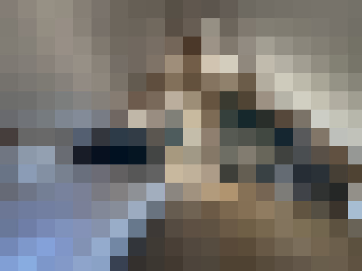  / #15