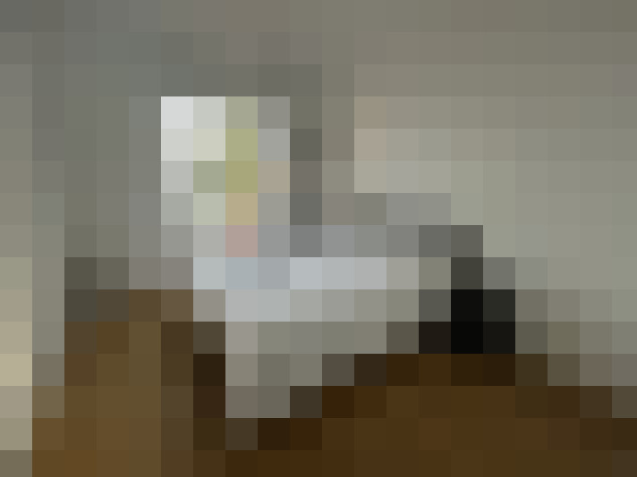  / #8