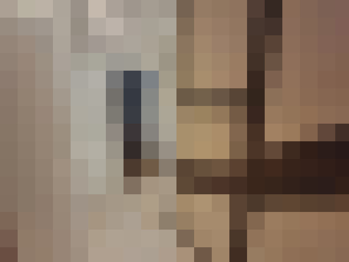  / #11