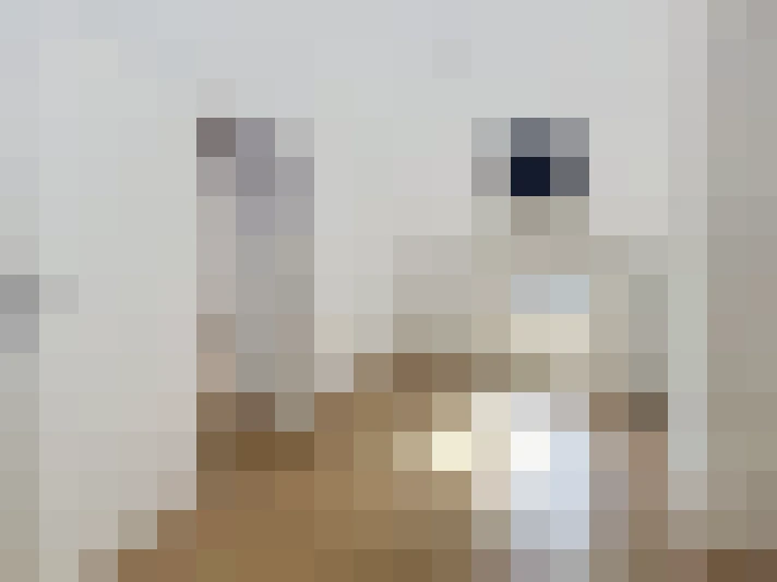  / #18