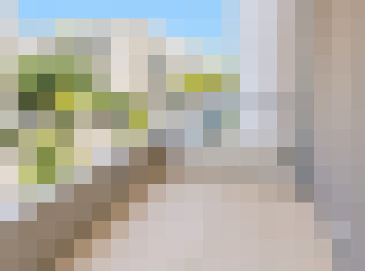  / #5