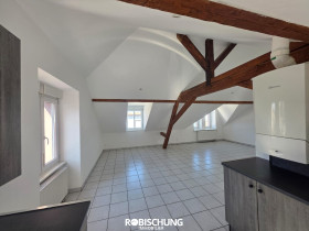 Appartement à Altkirch