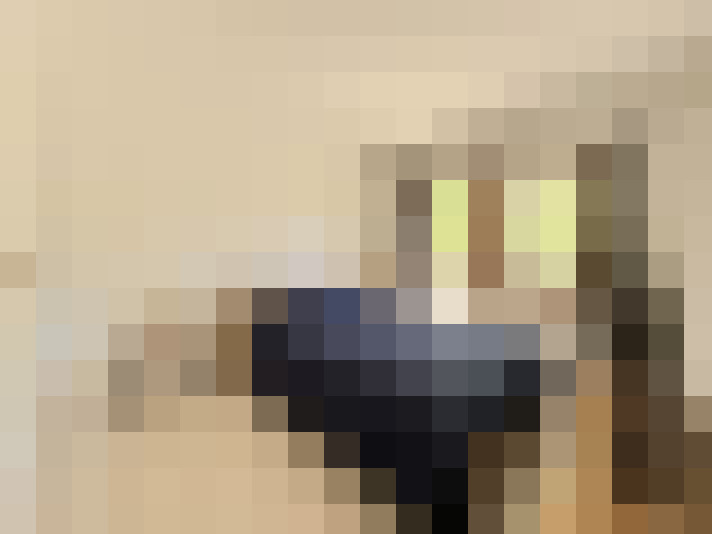  / #13
