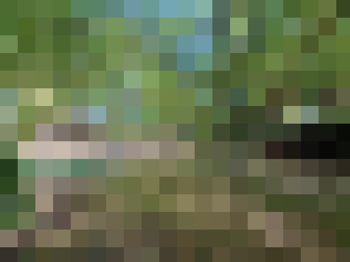  / #15