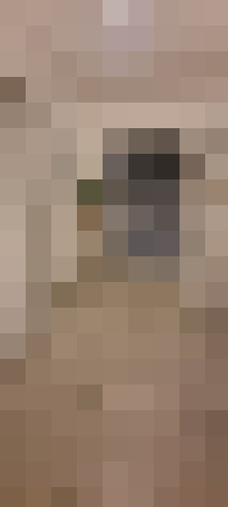  / #17