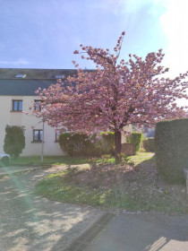 Appartement à Limours