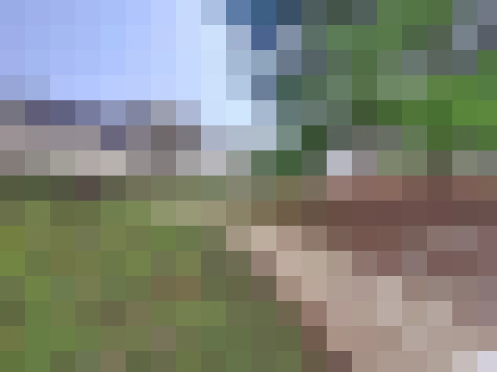  / #14