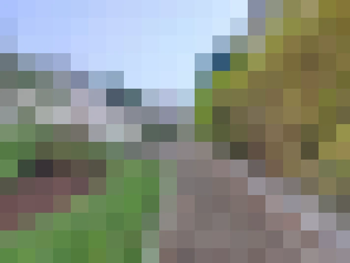  / #13