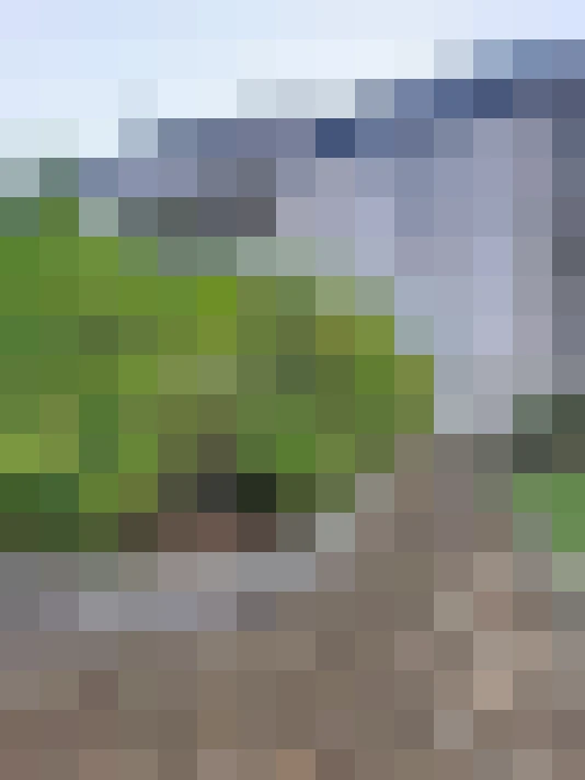  / #15