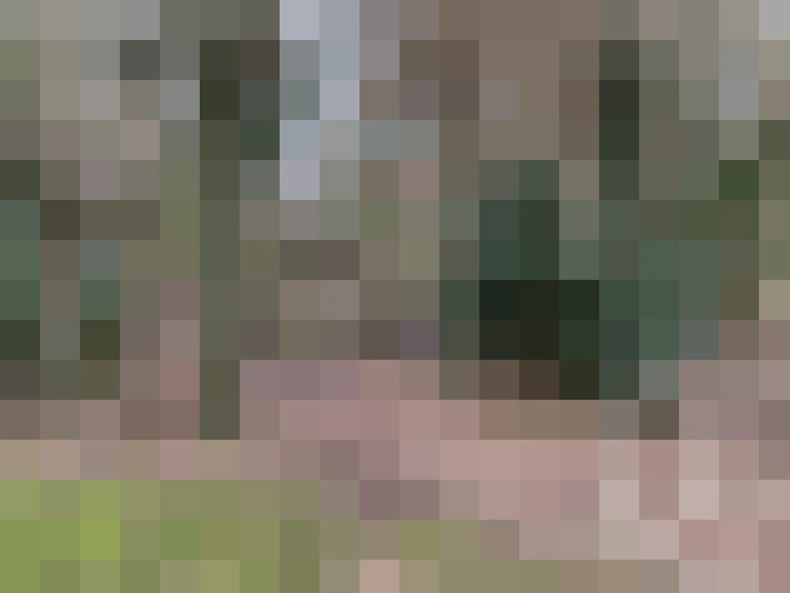  / #18