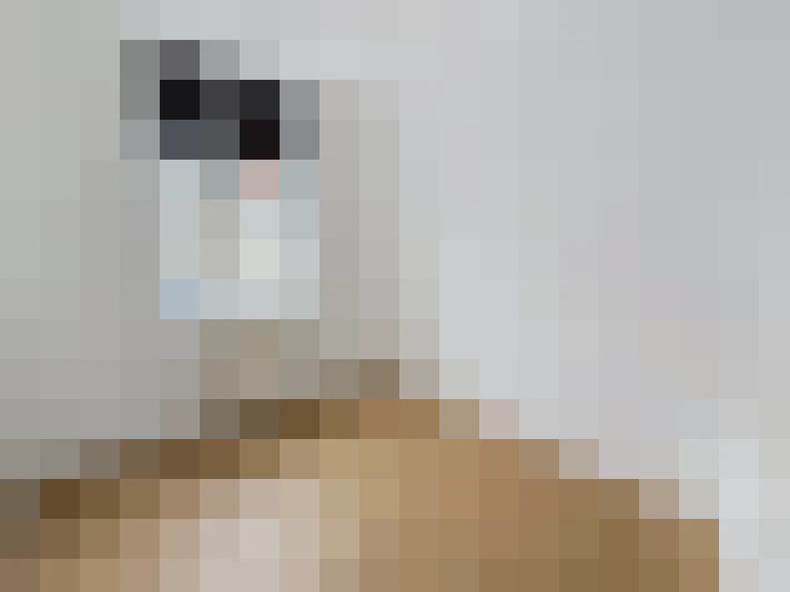  / #8