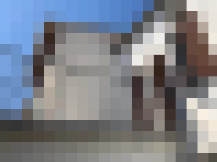  / #12
