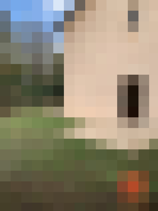  / #7