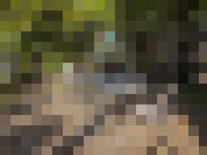 / #15