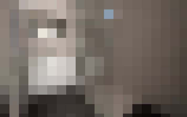  / #14