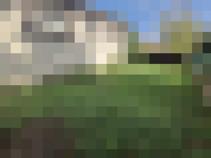  / #15