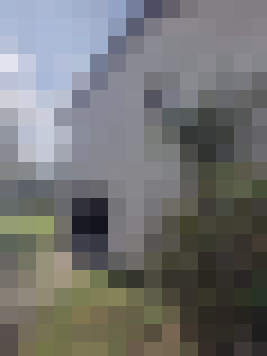  / #17