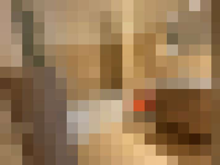  / #7