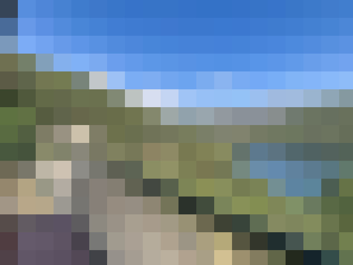  / #8