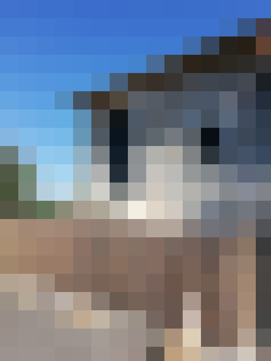  / #9