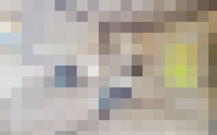  / #15