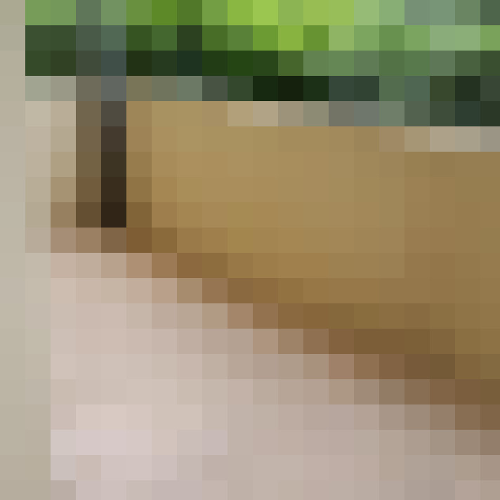  / #7