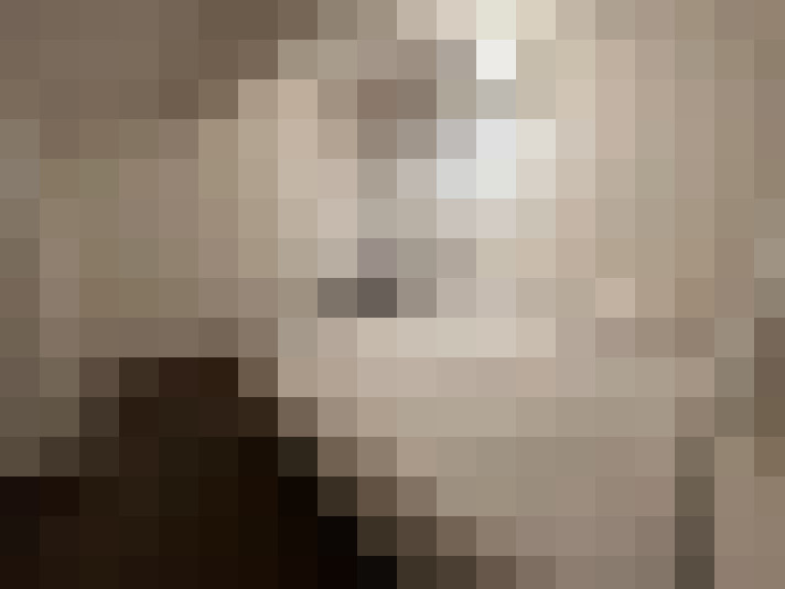  / #11