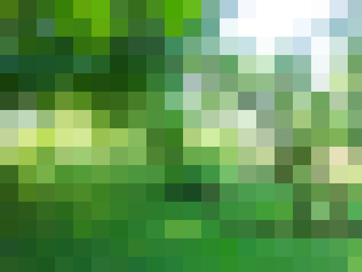  / #17