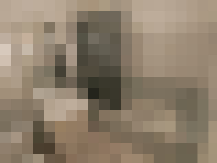  / #8