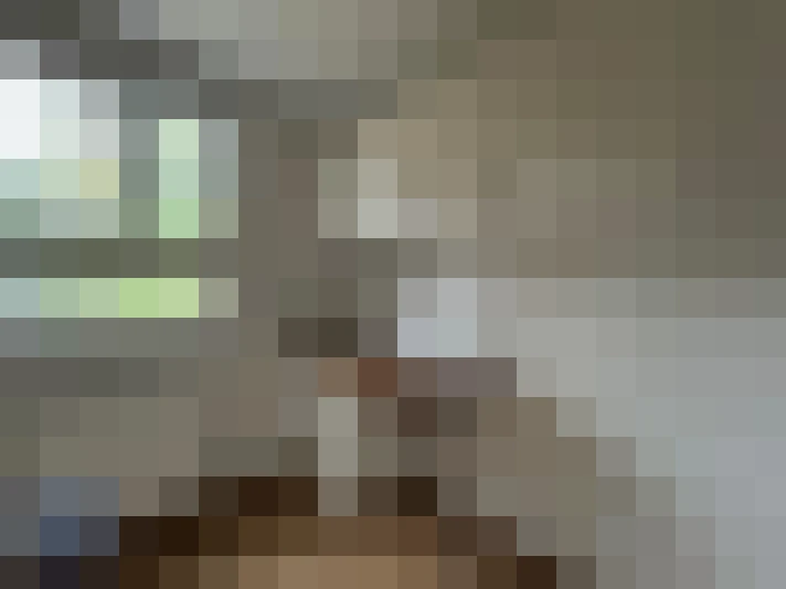  / #11