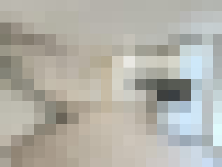  / #14