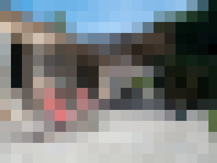  / #15