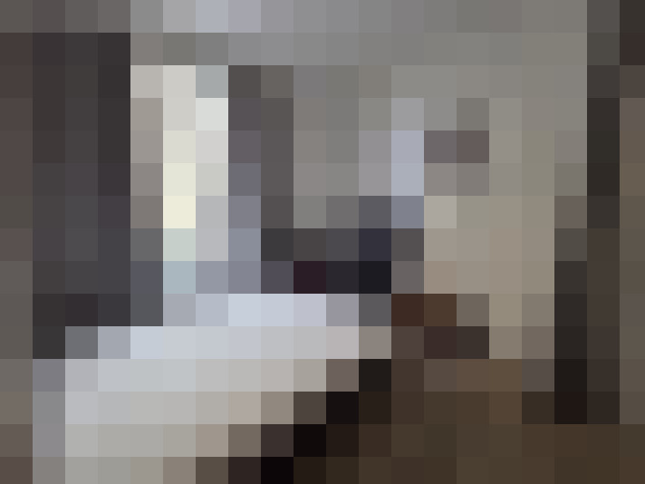  / #8