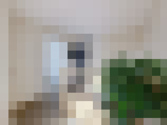  / #9