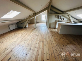 Appartement à Roche-la-Molière
