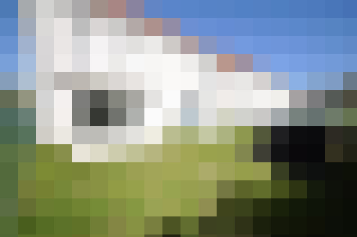  / #9