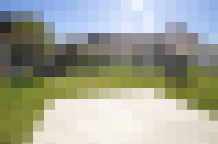  / #8