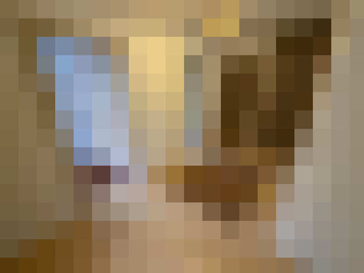  / #11
