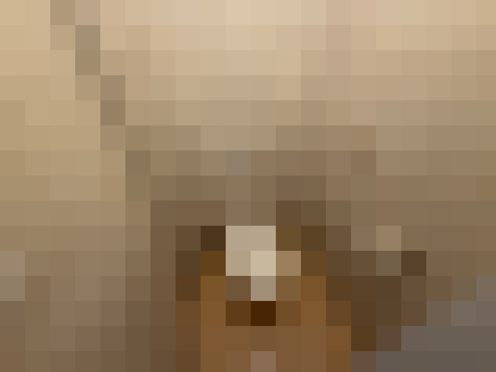  / #13