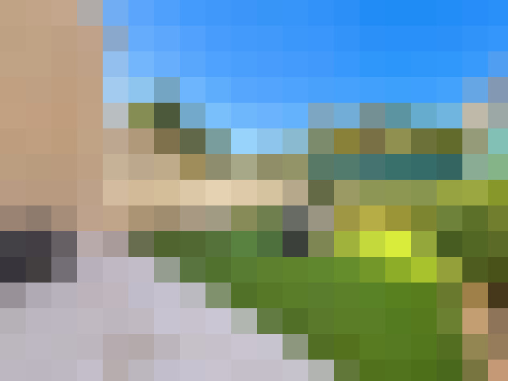  / #11