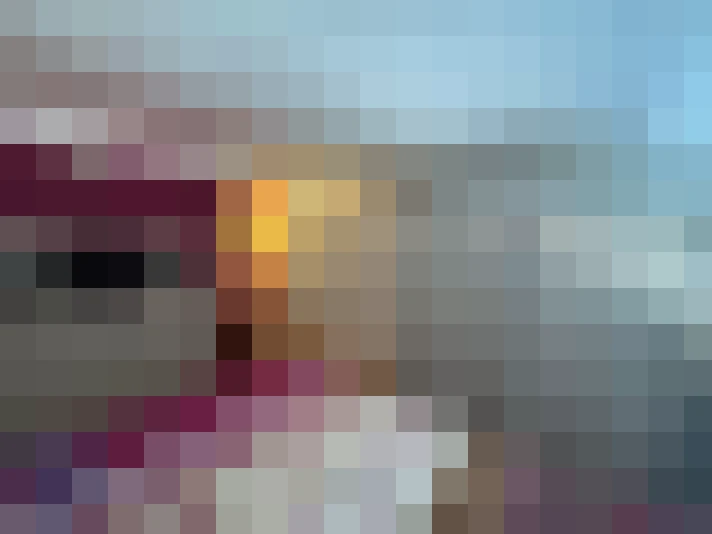  / #5