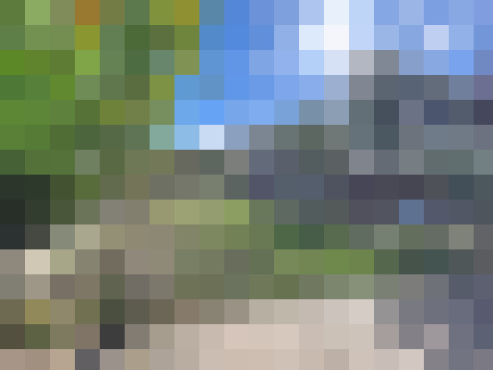  / #15