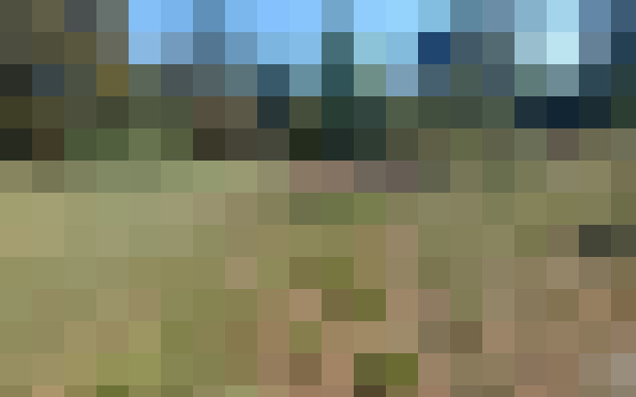 / #15