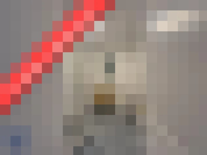  / #2