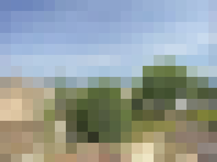  / #11