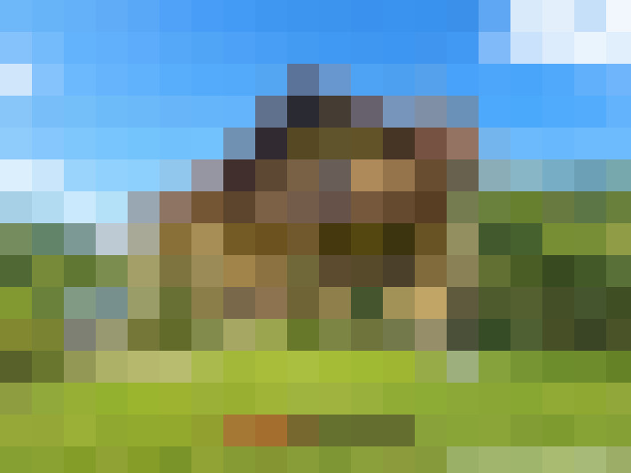  / #11