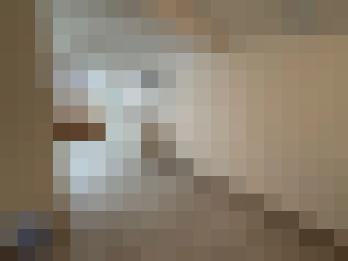  / #6