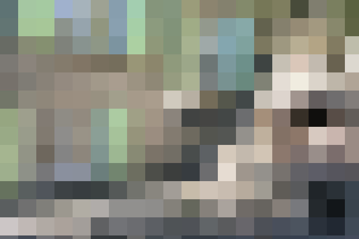  / #24