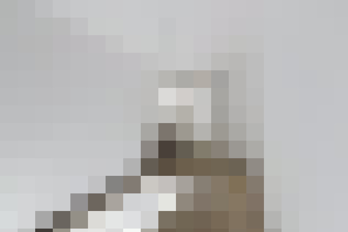  / #22